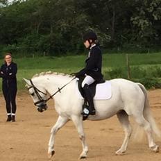 Anden særlig race Torpegaards Maddy