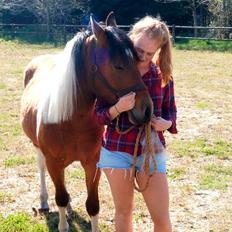 Anden særlig race Joey