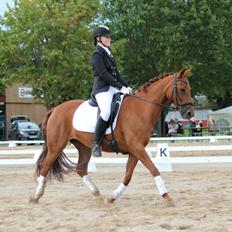 DSP Hot Chili [My soulmate]