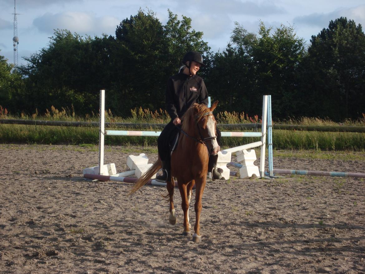 Anden særlig race Solaima billede 15