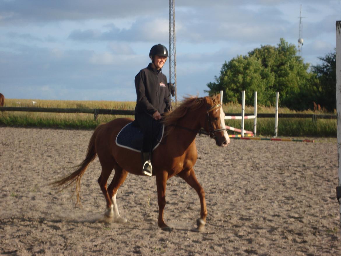 Anden særlig race Solaima billede 17