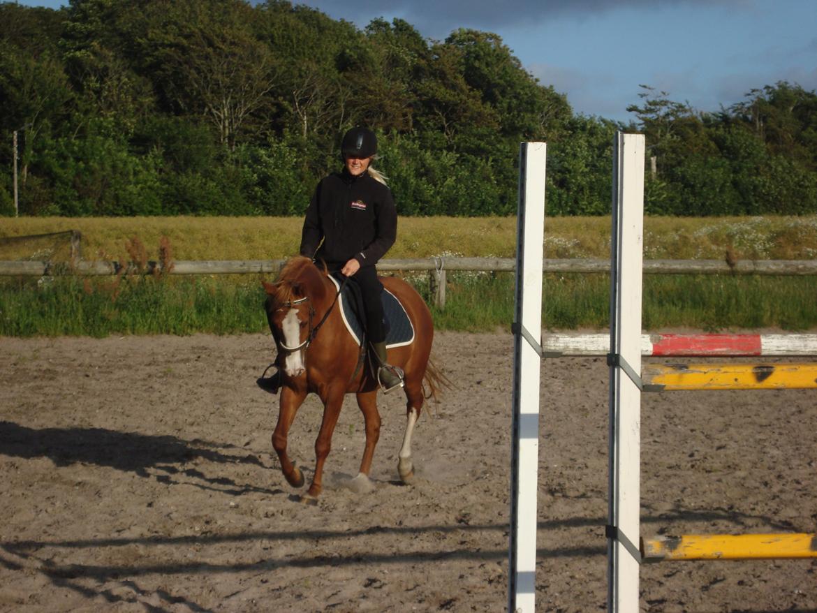 Anden særlig race Solaima billede 24