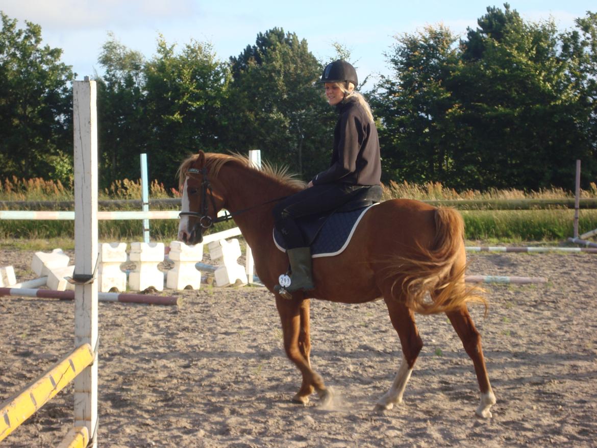 Anden særlig race Solaima billede 26