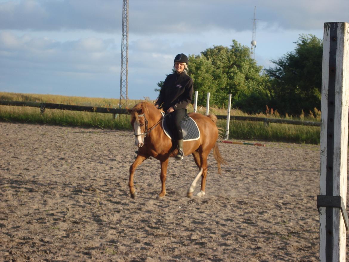 Anden særlig race Solaima billede 27