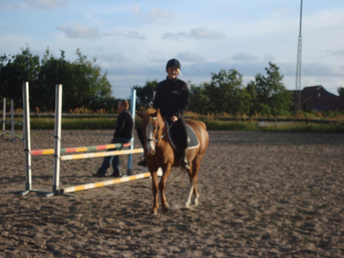 Anden særlig race Solaima billede 25