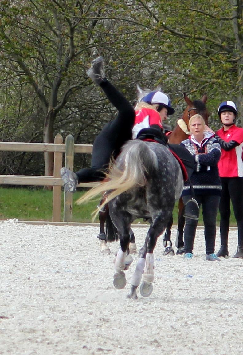 DSP Sica's Polly billede 5