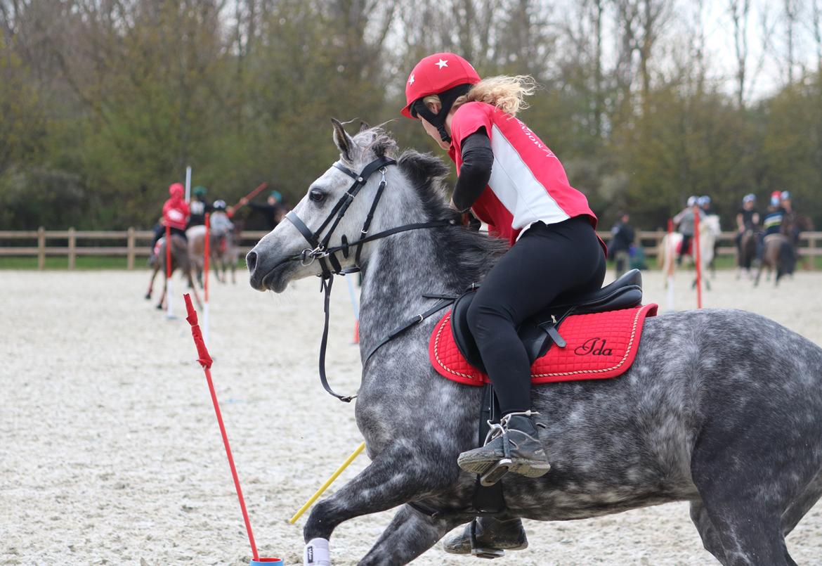 DSP Sica's Polly billede 10