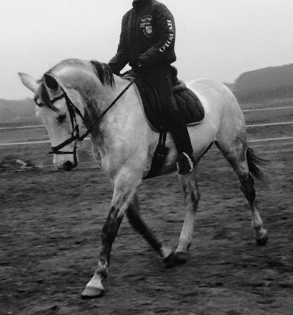 Holstener Alina  billede 1