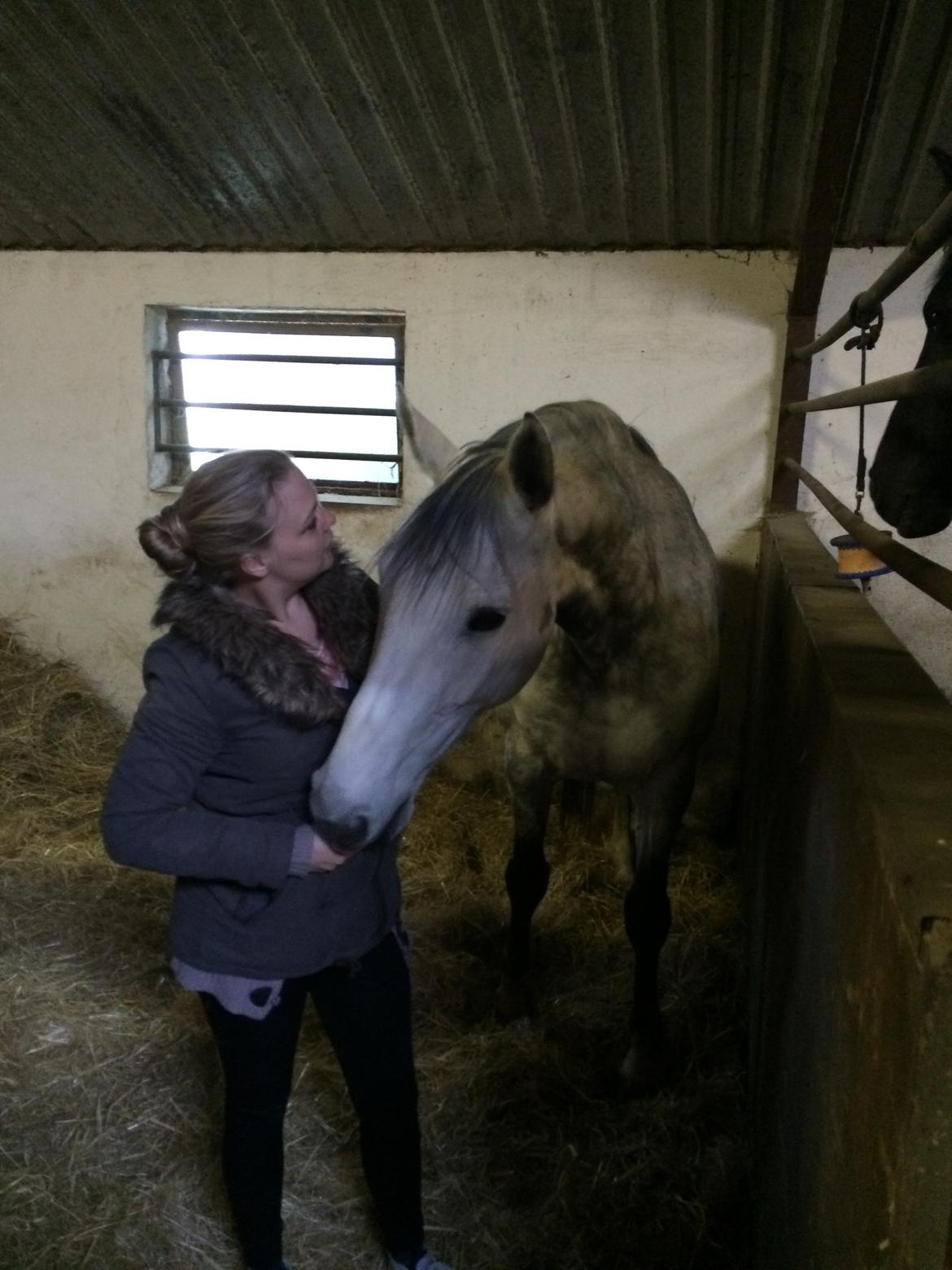 Holstener Alina  billede 2