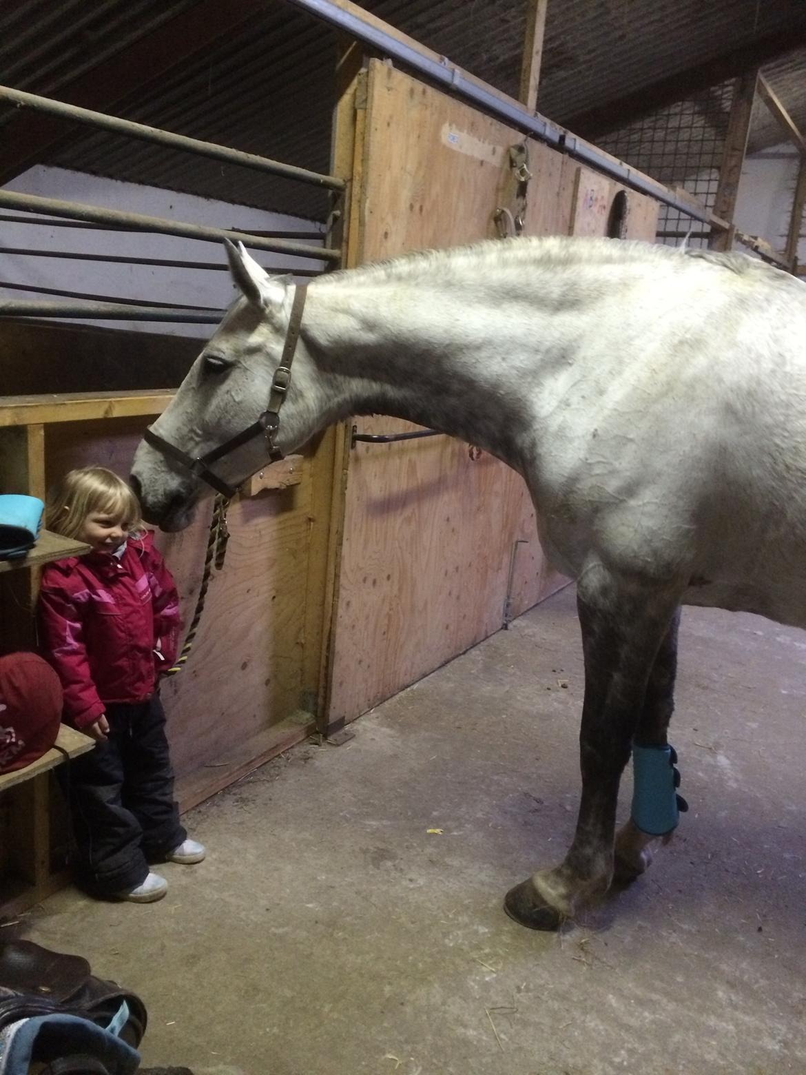 Holstener Alina  billede 5