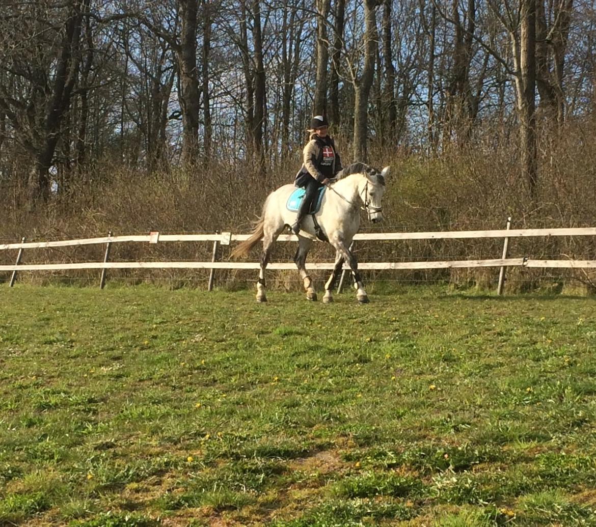 Holstener Alina  billede 7