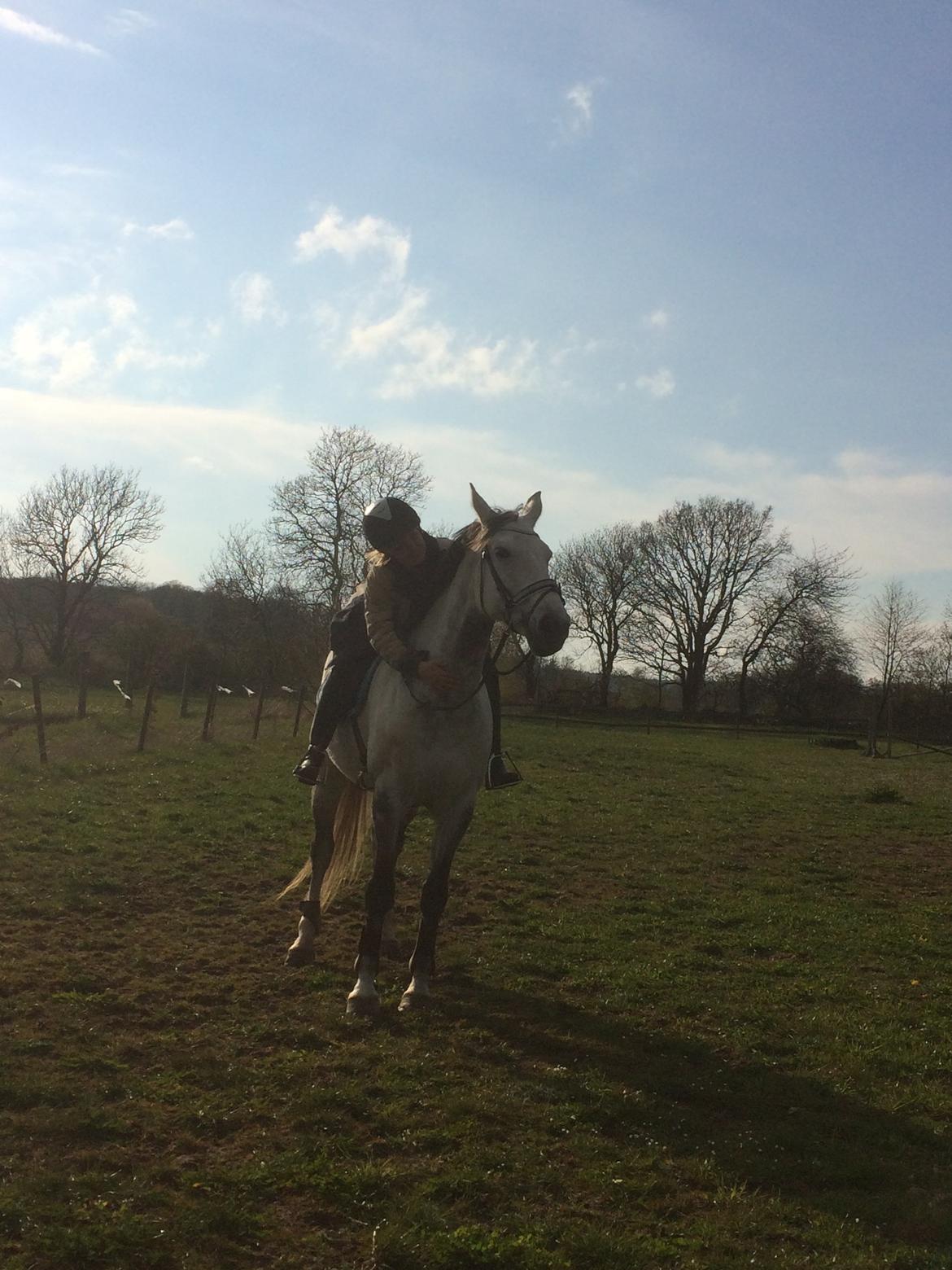 Holstener Alina  billede 9