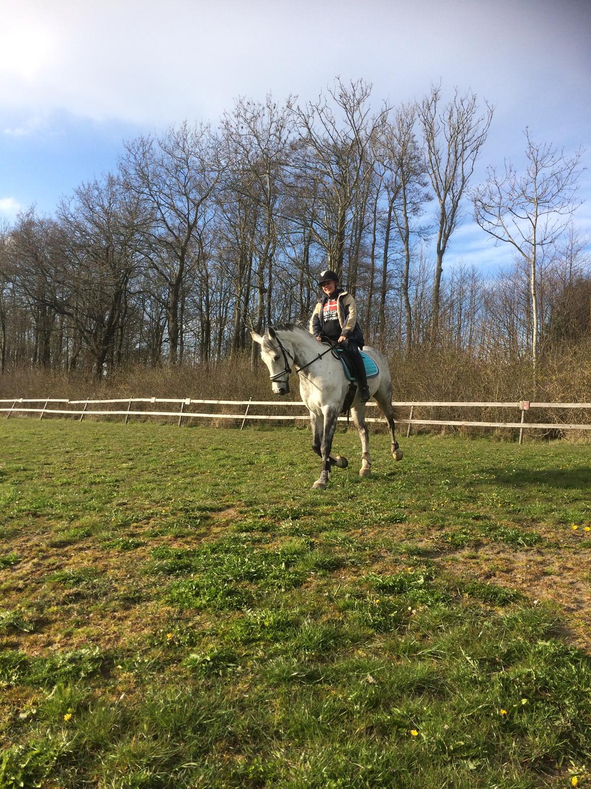 Holstener Alina  billede 8