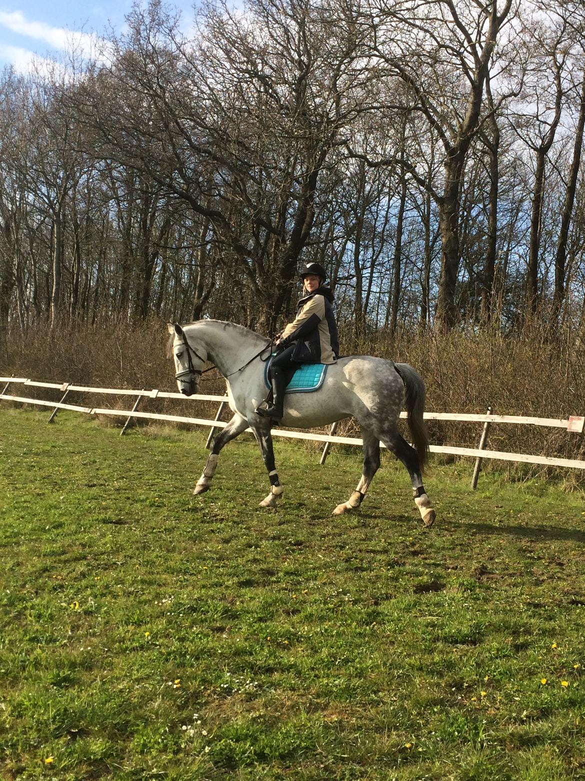 Holstener Alina  billede 10