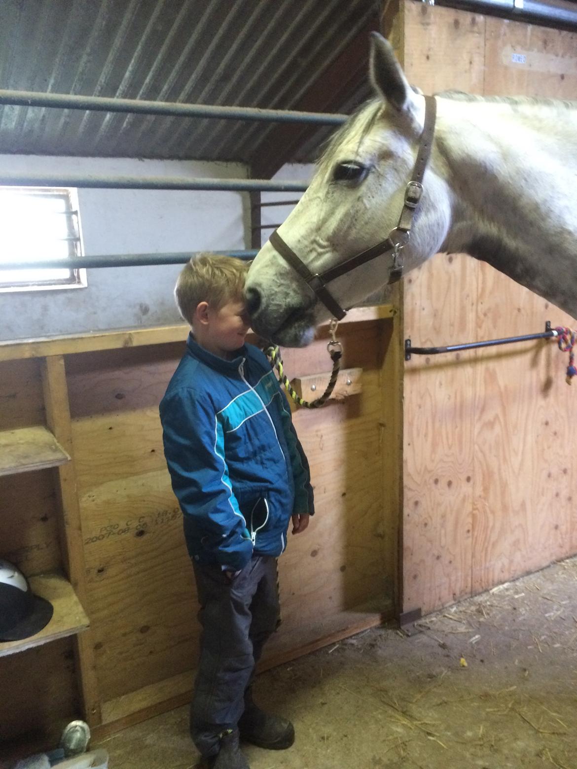 Holstener Alina  billede 12