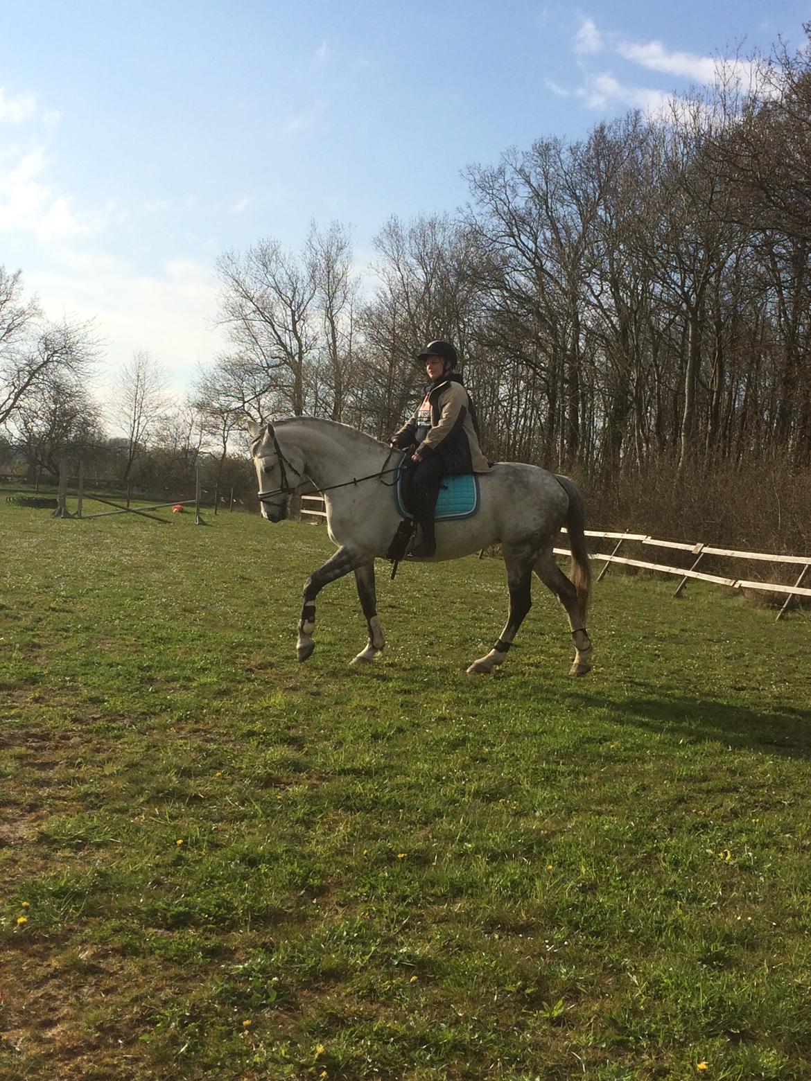 Holstener Alina  billede 11