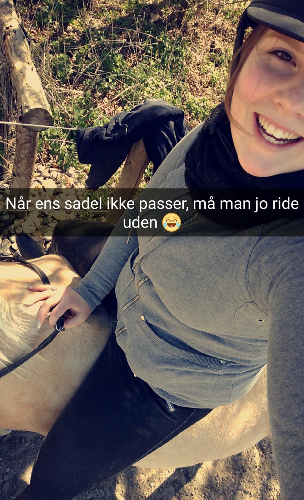 Palomino Golden Fashion billede 19