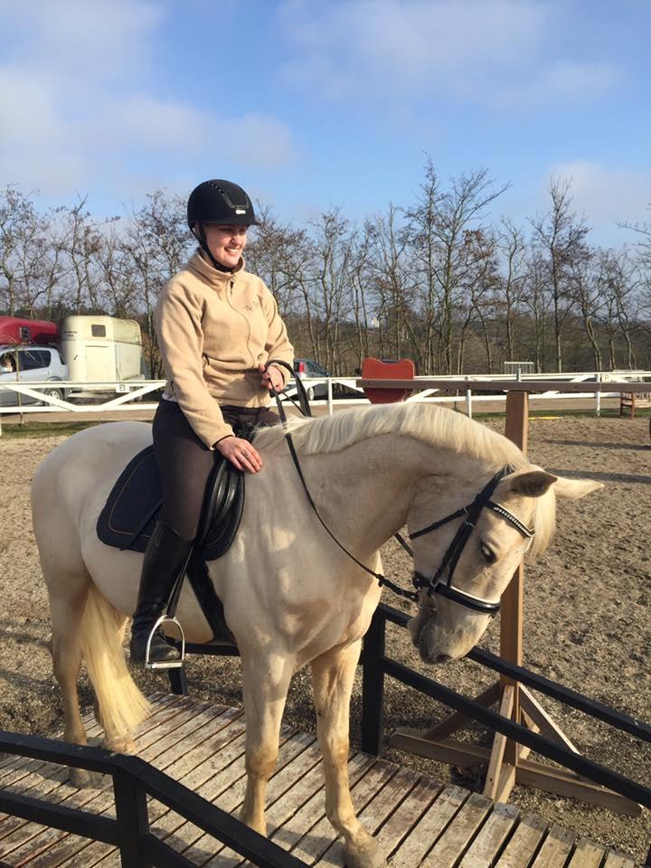 Palomino Soevangs CK One - Intet problem over WE broen :b billede 7