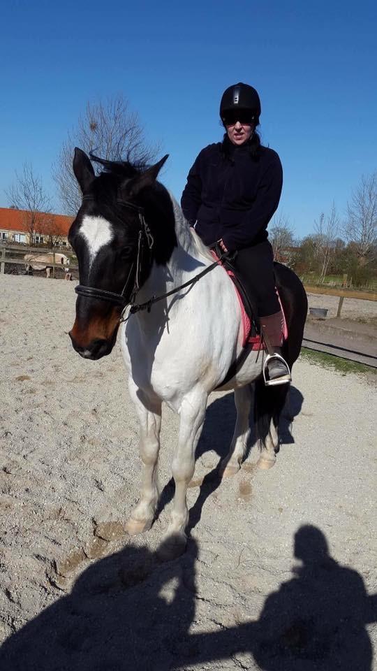 Anden særlig race Sofus  billede 2