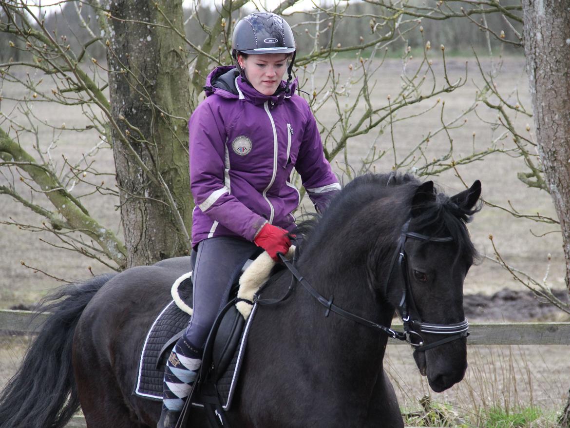 Frieser Miranda M.B. billede 7