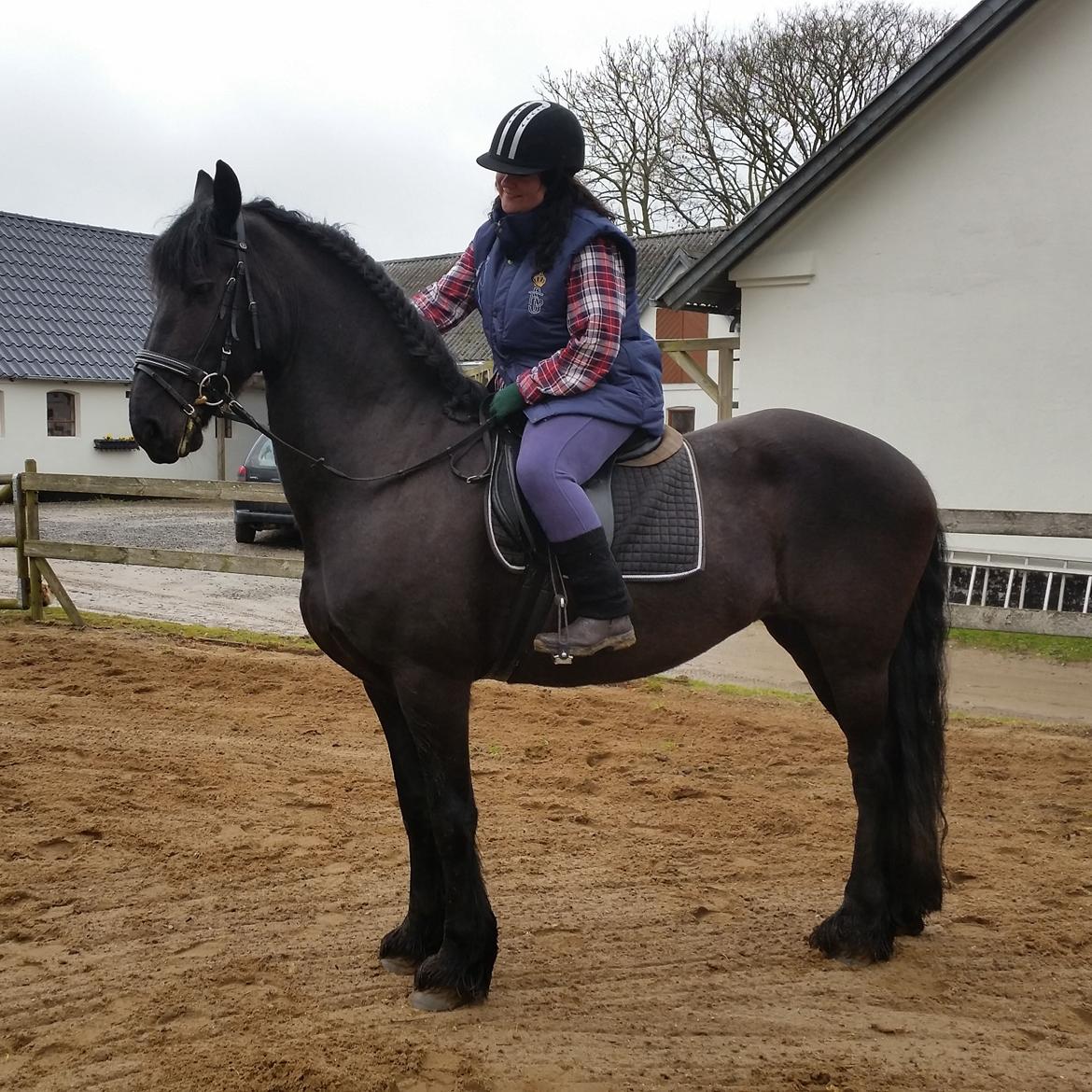 Frieser Miranda M.B. billede 4