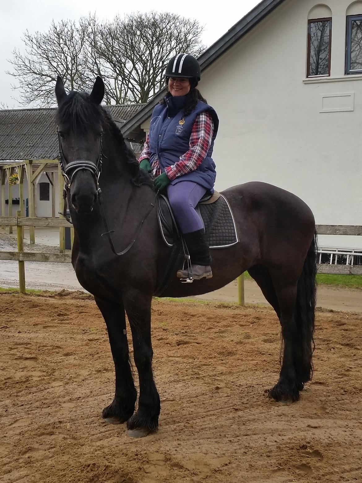 Frieser Miranda M.B. billede 3