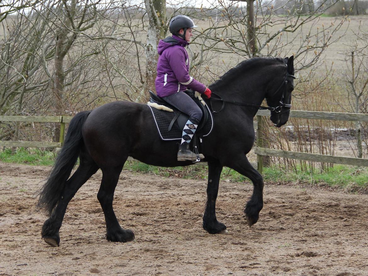 Frieser Miranda M.B. billede 6