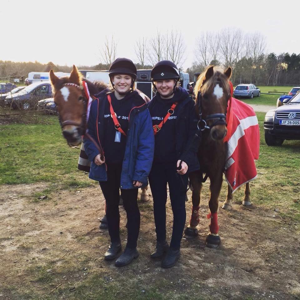 Anden særlig race Belgium Braun Beauty  billede 6