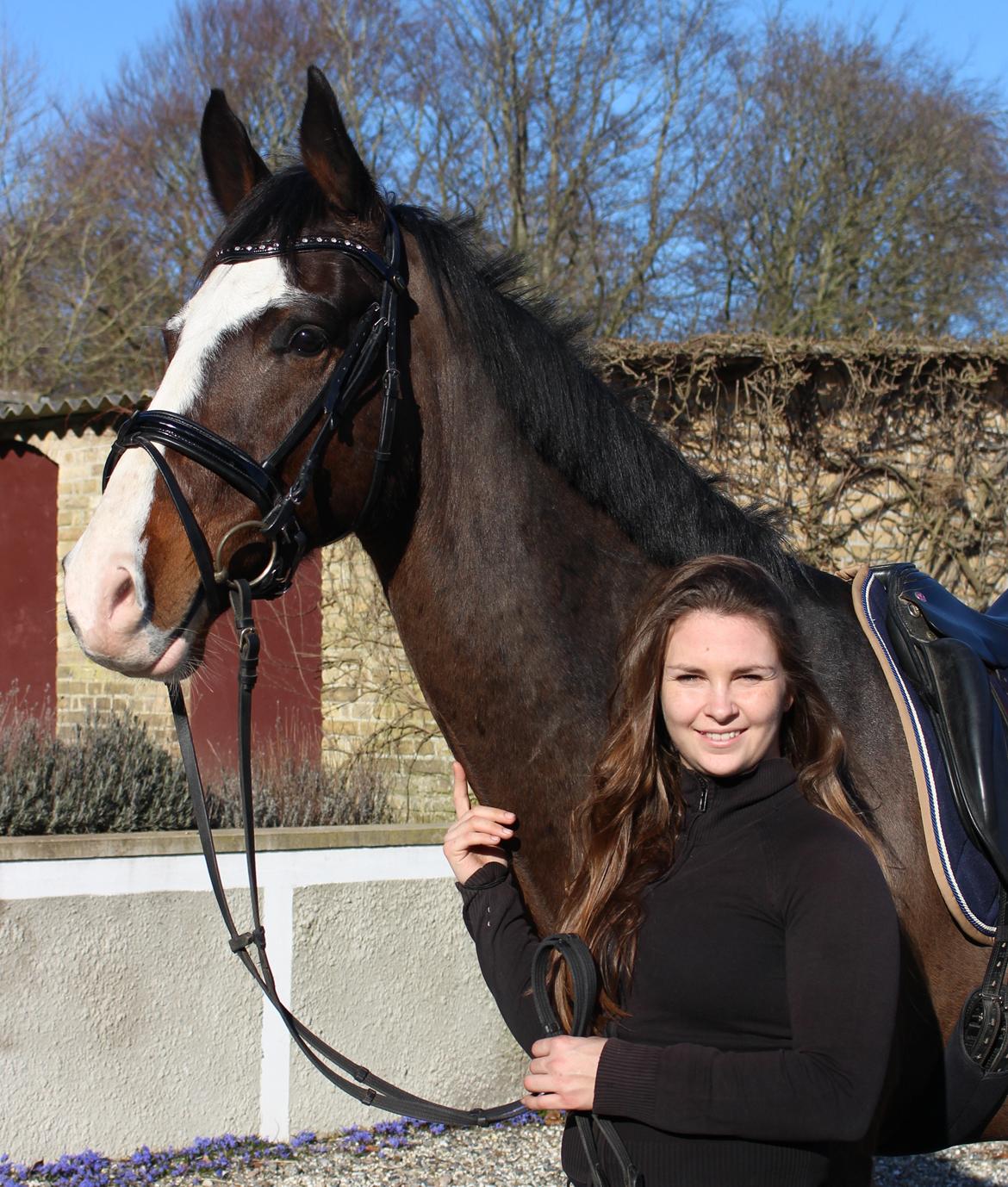 Hollandsk Varmblod Cor De Leandre billede 19