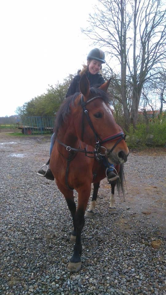 Anden særlig race Bacardi (The Lady <3) billede 23