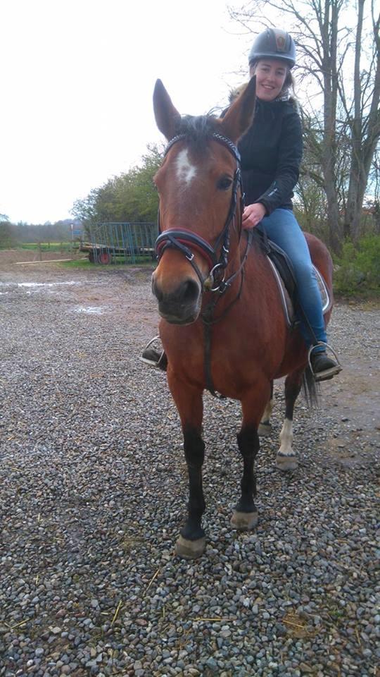 Anden særlig race Bacardi (The Lady <3) billede 29