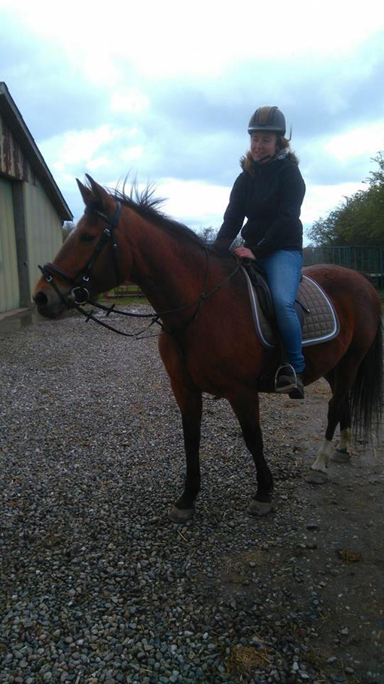 Anden særlig race Bacardi (The Lady <3) billede 27