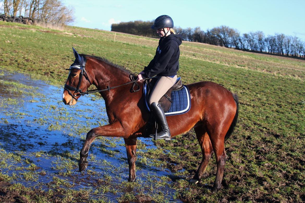 DSP Ronja  - I vandhullet. april 2016 billede 10