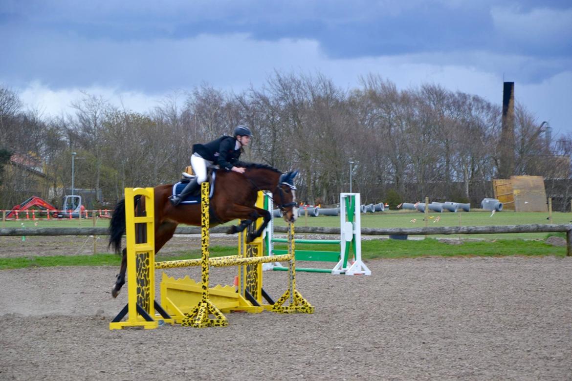 DSP Ronja  - Første stævne <3 april 2016 billede 13