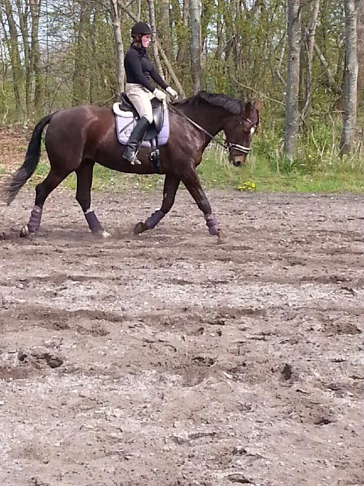 Oldenborg Etasja af Hvarre billede 14