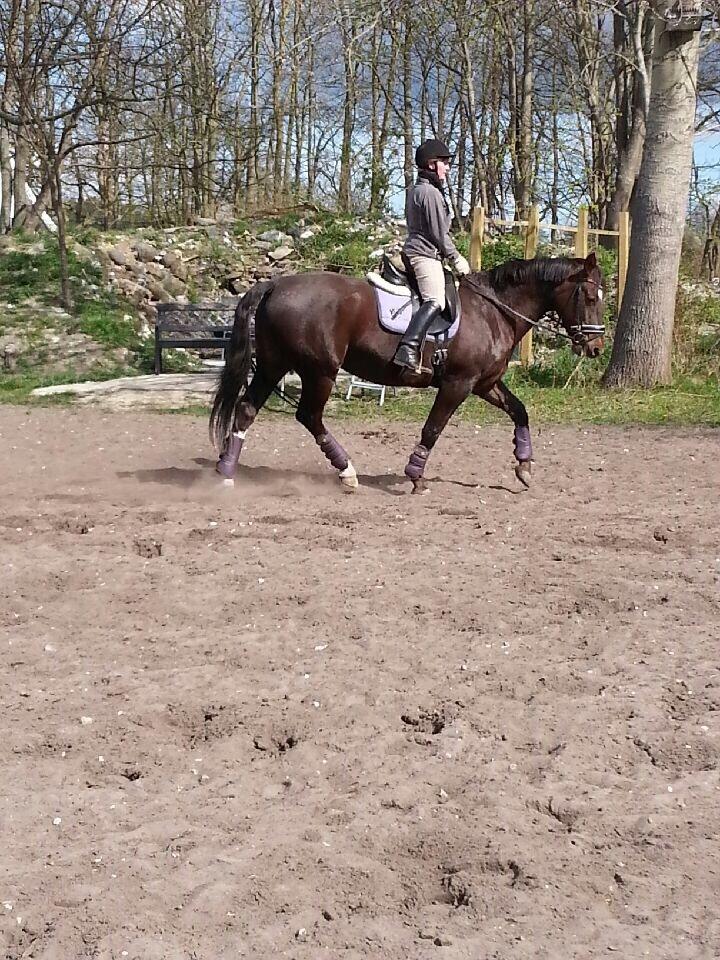 Oldenborg Etasja af Hvarre billede 13