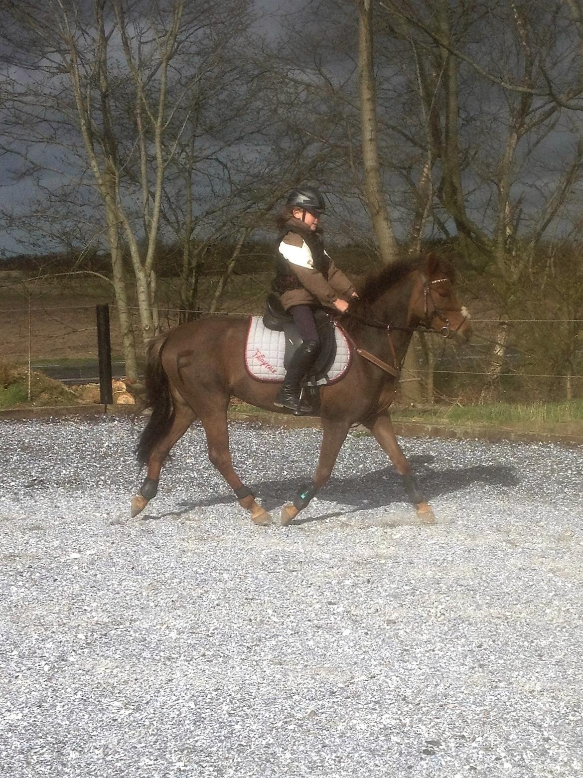 DSP MaarielundsFairytale . SOLGT billede 2