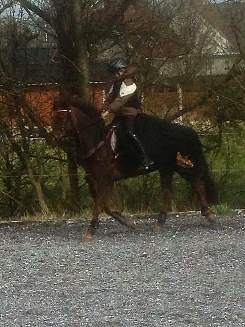 DSP MaarielundsFairytale . SOLGT billede 3