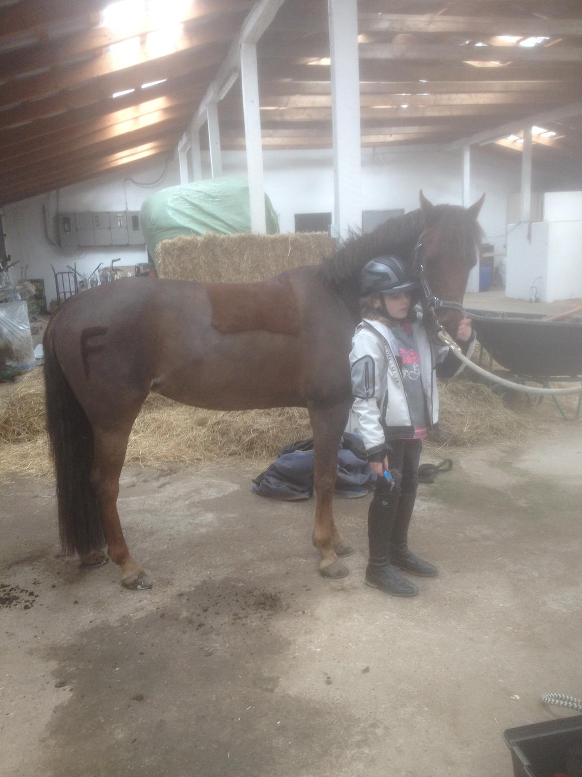 DSP MaarielundsFairytale . SOLGT billede 4