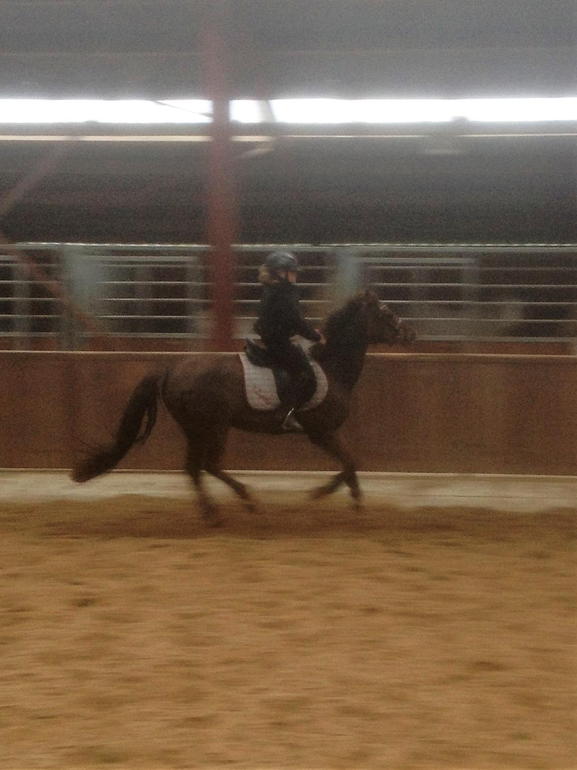 DSP MaarielundsFairytale . SOLGT billede 5