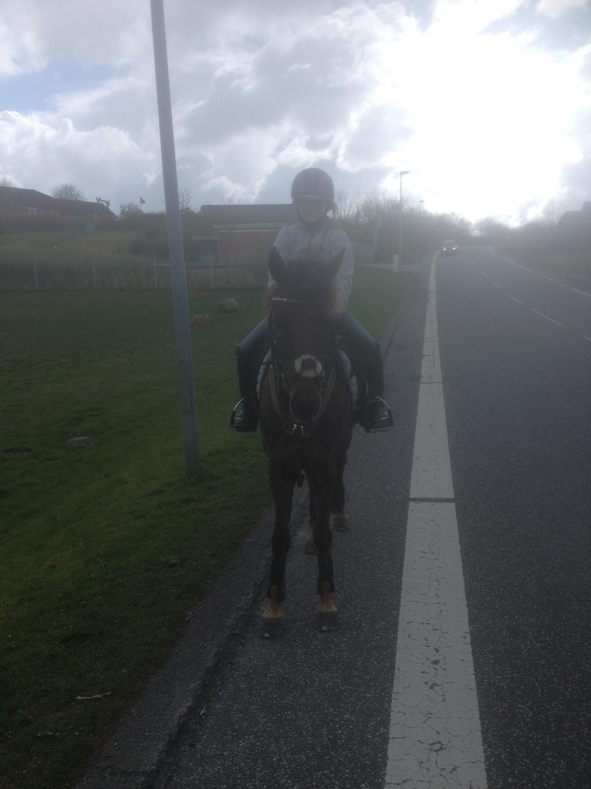 DSP MaarielundsFairytale . SOLGT billede 6