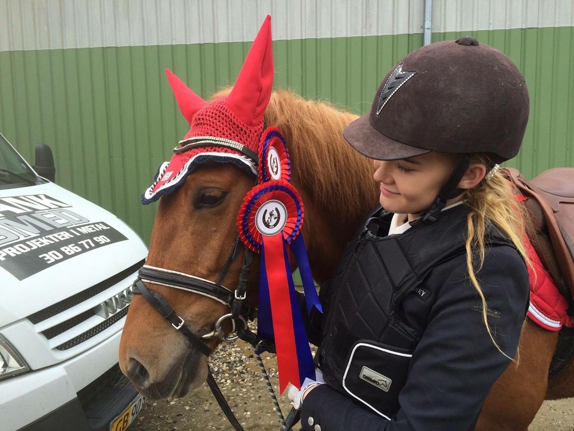 New Forest Nina (Ninja) billede 4