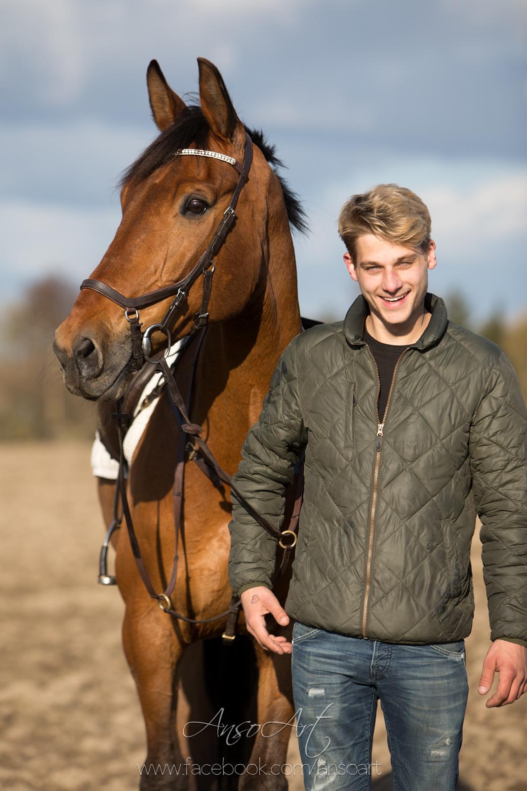 Dansk Varmblod Nevell - Ansoart billede 12