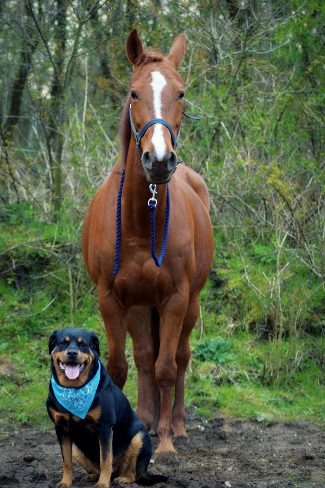 Anden særlig race Fontain Madonna (Fonny) - Fonny & Kia. billede 6