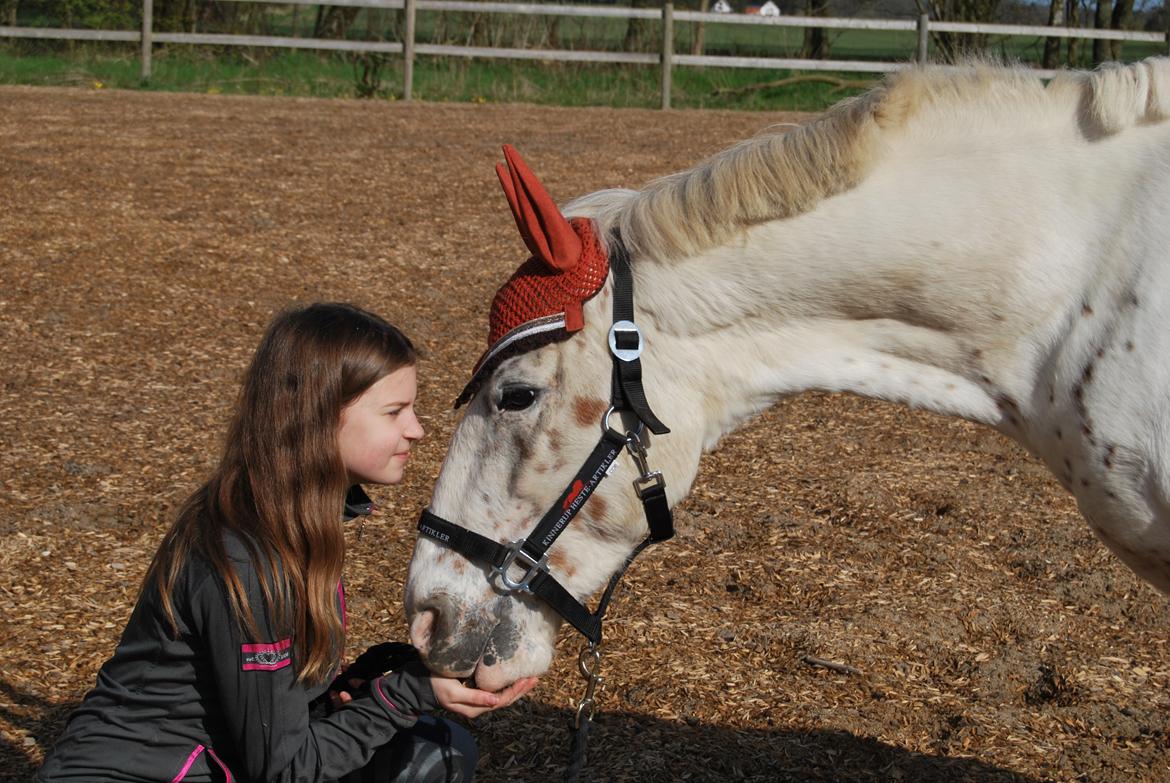 Anden særlig race Snow Girl billede 8