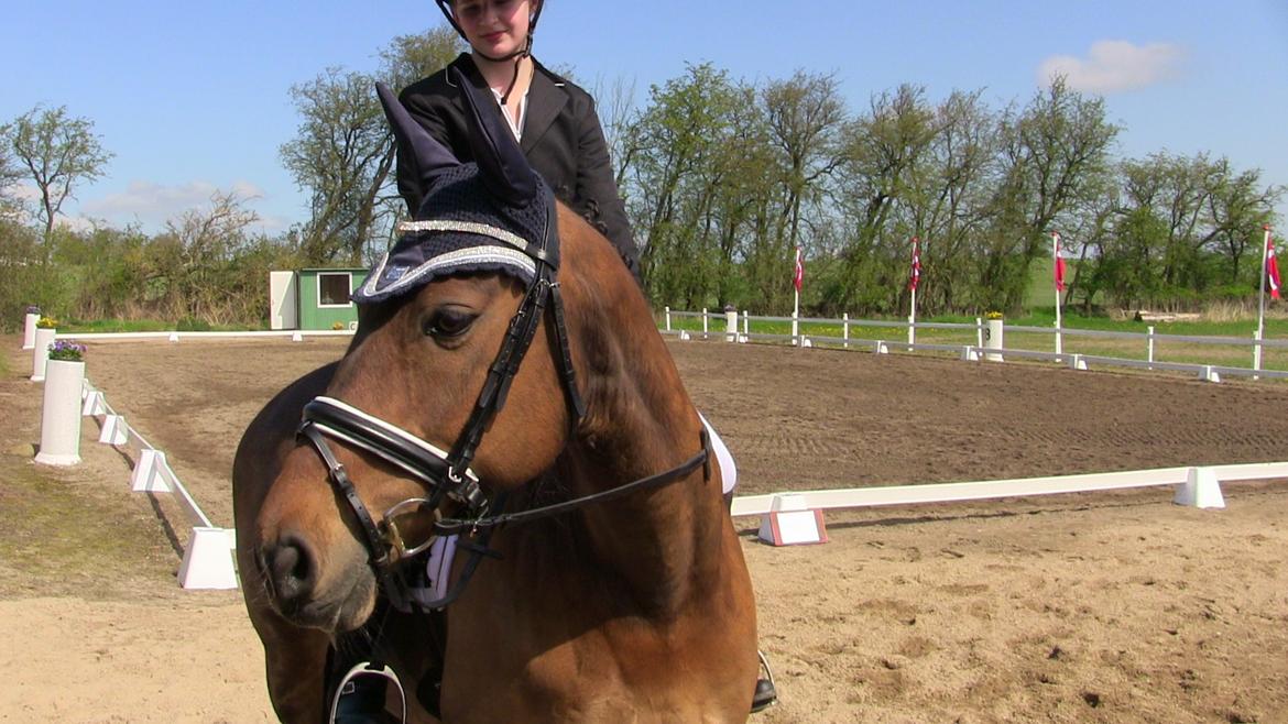 Oldenborg Ayla billede 4