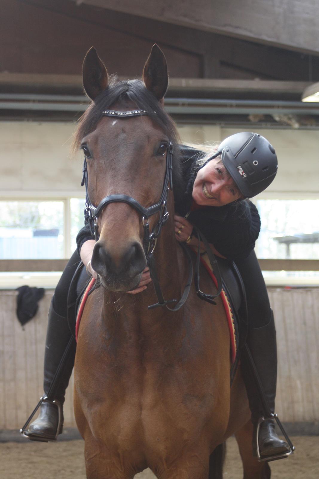 Dansk Varmblod Nicolai-høj billede 19