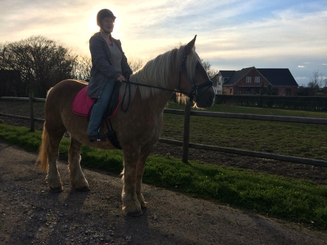 Jyde Strandgårdens Anbabell billede 10