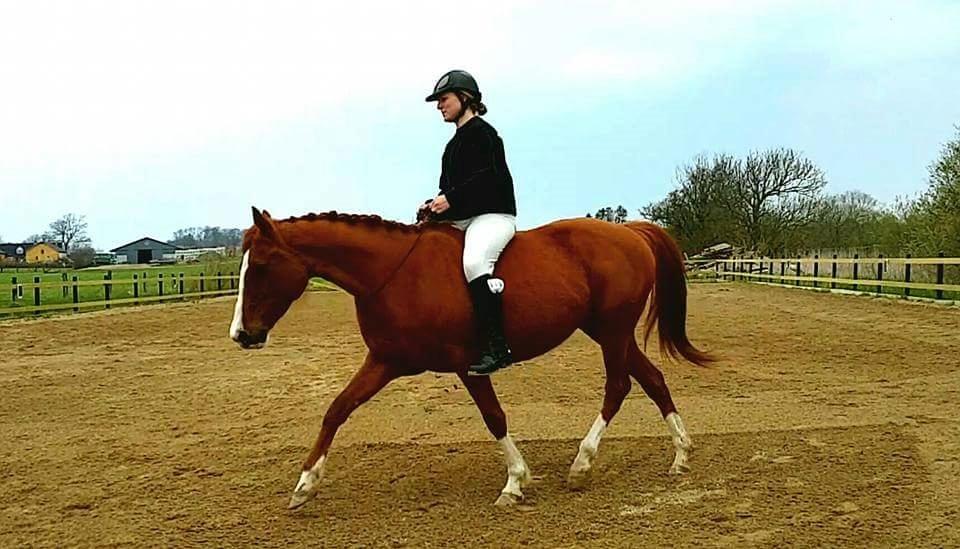 Anden særlig race † Tess † billede 19