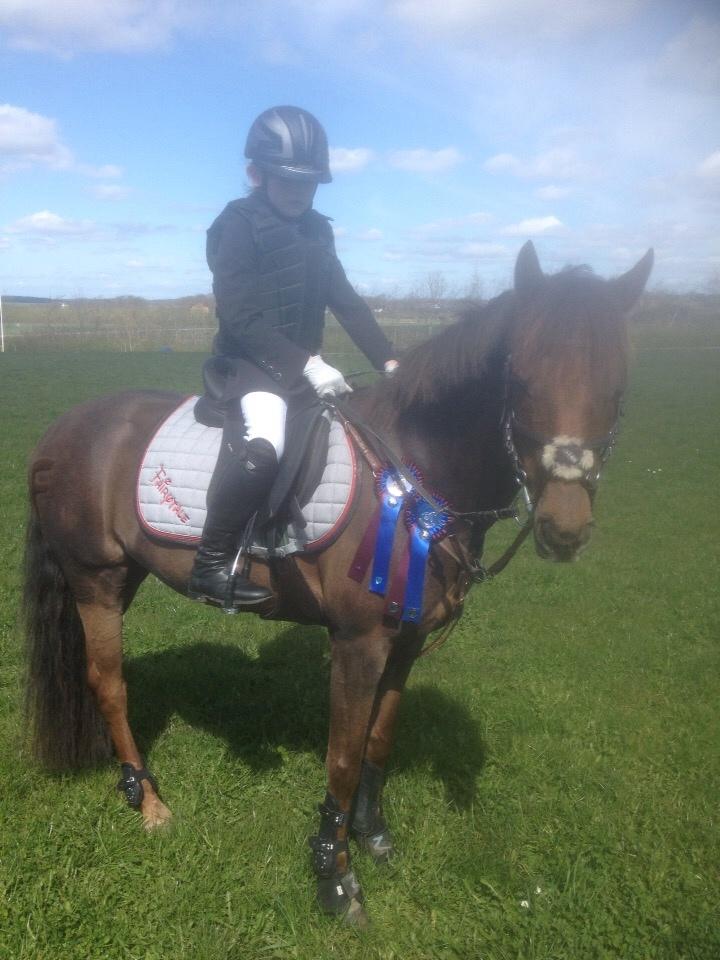 DSP MaarielundsFairytale . SOLGT billede 7